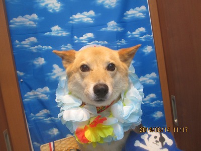 ファイル 8057-2.jpg