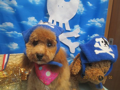 ファイル 8058-1.jpg