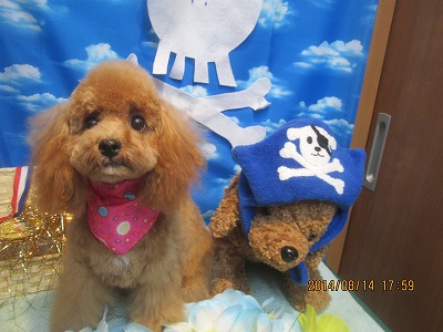 ファイル 8058-2.jpg