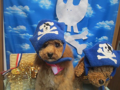 ファイル 8058-3.jpg