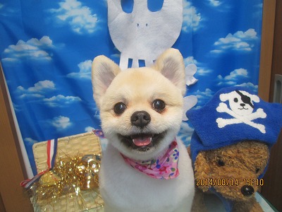 ファイル 8059-1.jpg