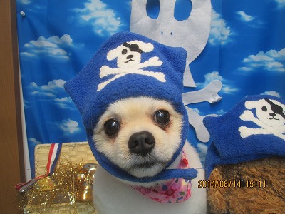 ファイル 8059-2.jpg