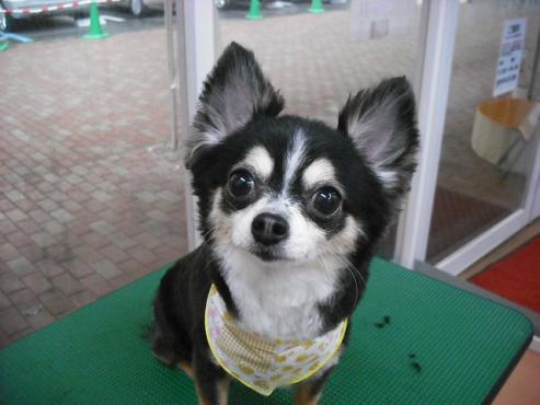 ファイル 806-1.jpg