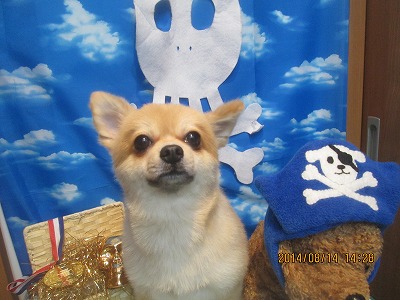 ファイル 8060-1.jpg