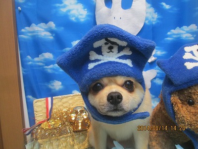 ファイル 8060-2.jpg