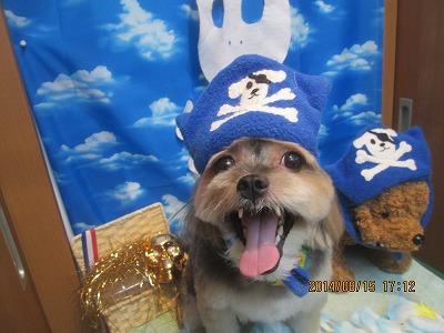 ファイル 8061-1.jpg