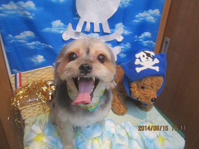 ファイル 8061-2.jpg