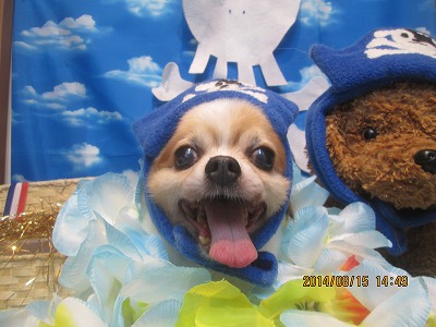 ファイル 8062-1.jpg