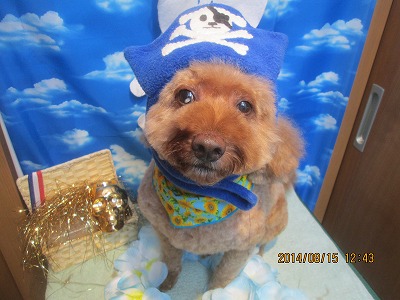 ファイル 8063-1.jpg