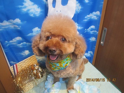 ファイル 8063-2.jpg