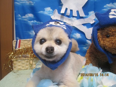 ファイル 8064-1.jpg