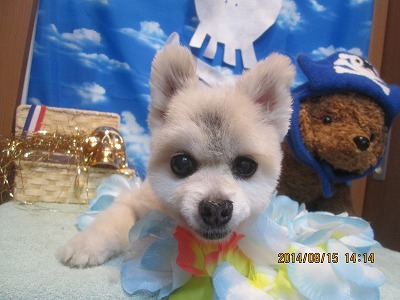 ファイル 8064-2.jpg