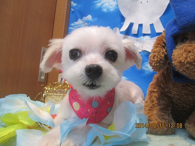 ファイル 8065-2.jpg