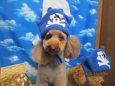 ファイル 8066-1.jpg