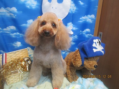 ファイル 8066-2.jpg