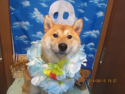 ファイル 8067-1.jpg