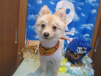 ファイル 8068-1.jpg