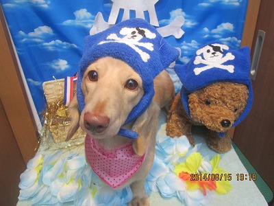 ファイル 8069-1.jpg