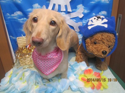 ファイル 8069-2.jpg