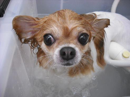 ファイル 807-2.jpg