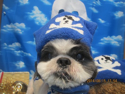 ファイル 8071-1.jpg