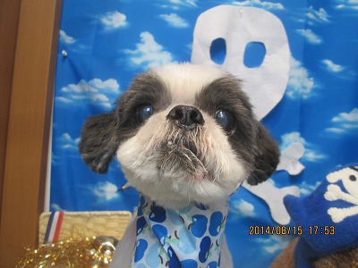 ファイル 8071-2.jpg