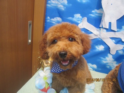 ファイル 8072-1.jpg