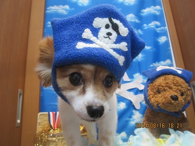 ファイル 8073-2.jpg