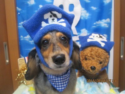 ファイル 8075-1.jpg