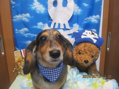 ファイル 8075-2.jpg