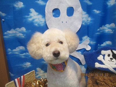 ファイル 8076-1.jpg