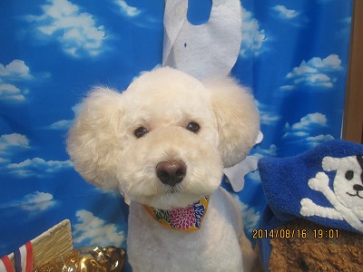 ファイル 8076-2.jpg