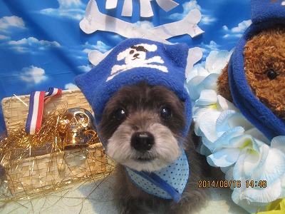 ファイル 8078-1.jpg