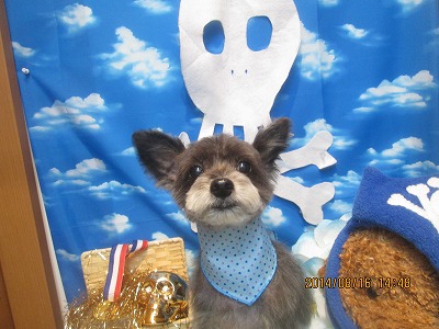 ファイル 8078-2.jpg