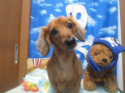 ファイル 8079-1.jpg