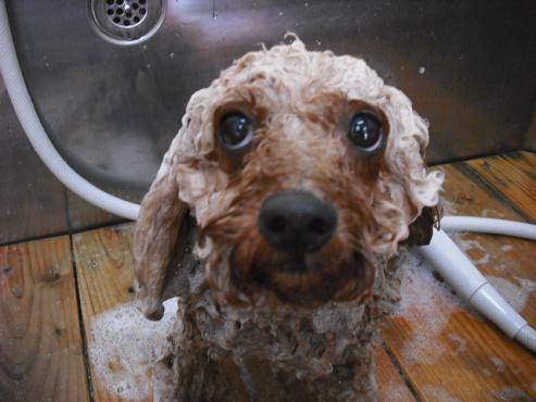 ファイル 808-3.jpg