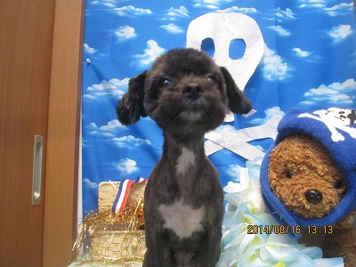 ファイル 8080-1.jpg