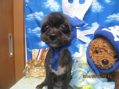 ファイル 8080-2.jpg