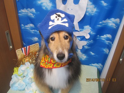 ファイル 8081-1.jpg