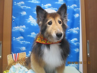 ファイル 8081-2.jpg