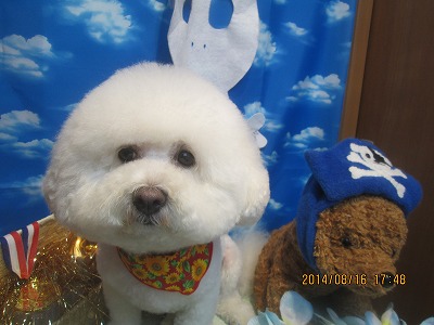 ファイル 8082-1.jpg