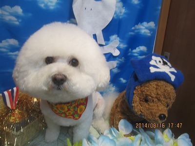 ファイル 8082-2.jpg