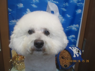 ファイル 8083-2.jpg