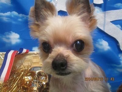 ファイル 8084-1.jpg