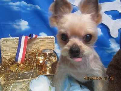 ファイル 8084-2.jpg