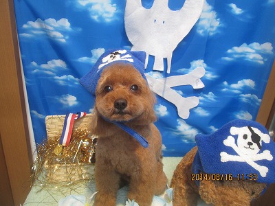 ファイル 8085-1.jpg