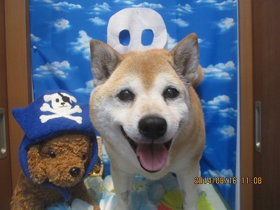 ファイル 8086-1.jpg