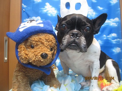 ファイル 8087-1.jpg