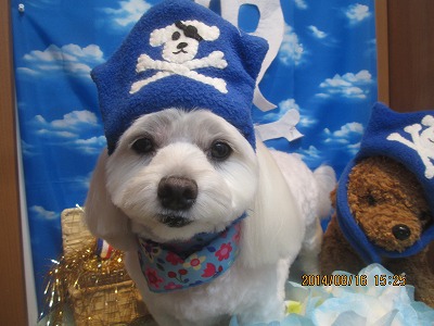 ファイル 8088-1.jpg