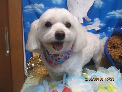 ファイル 8088-2.jpg